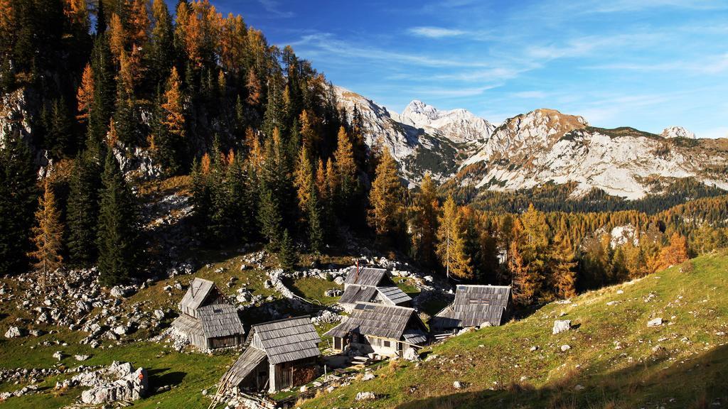 Apartments Bohinjskih 7 Kültér fotó